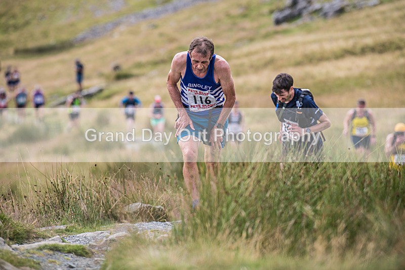 Ingleborough-240 - Ingleborough Mountain Race Saturday 18th July 2026