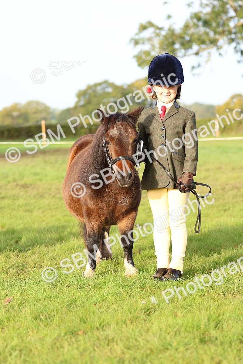 SBM_54843 - S39 - Starters In Hand Showing