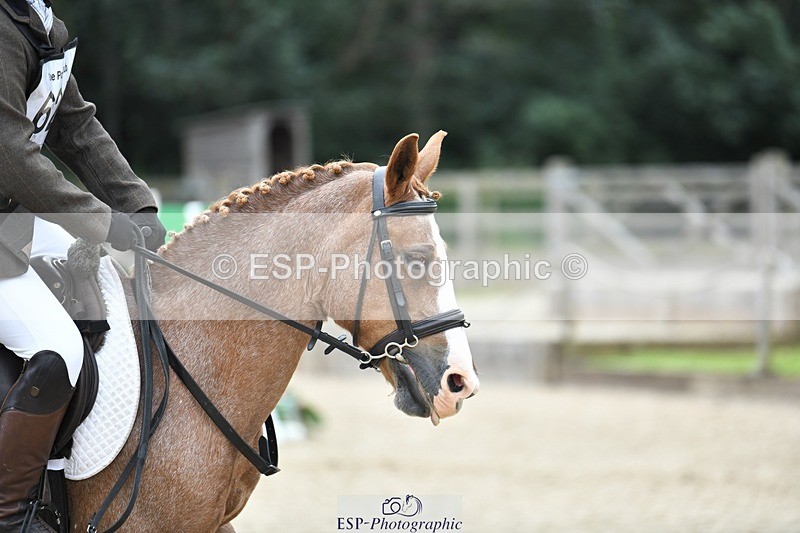 230827-144912-26524 - SJ 13.30 to End