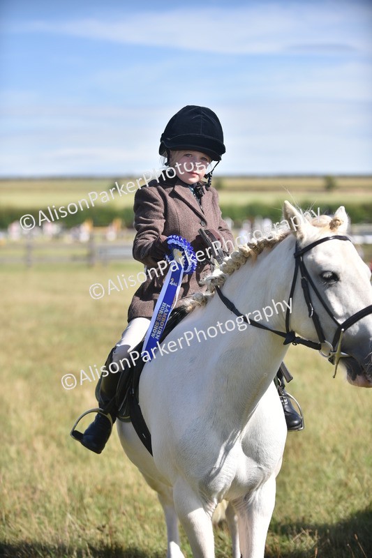 20260906-1012 - Class 7 - Absolute Novice Jumping 35cm