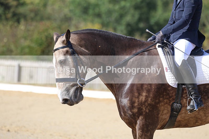 3E7A2635 - Class 4: Prelim 6 Section A Championship