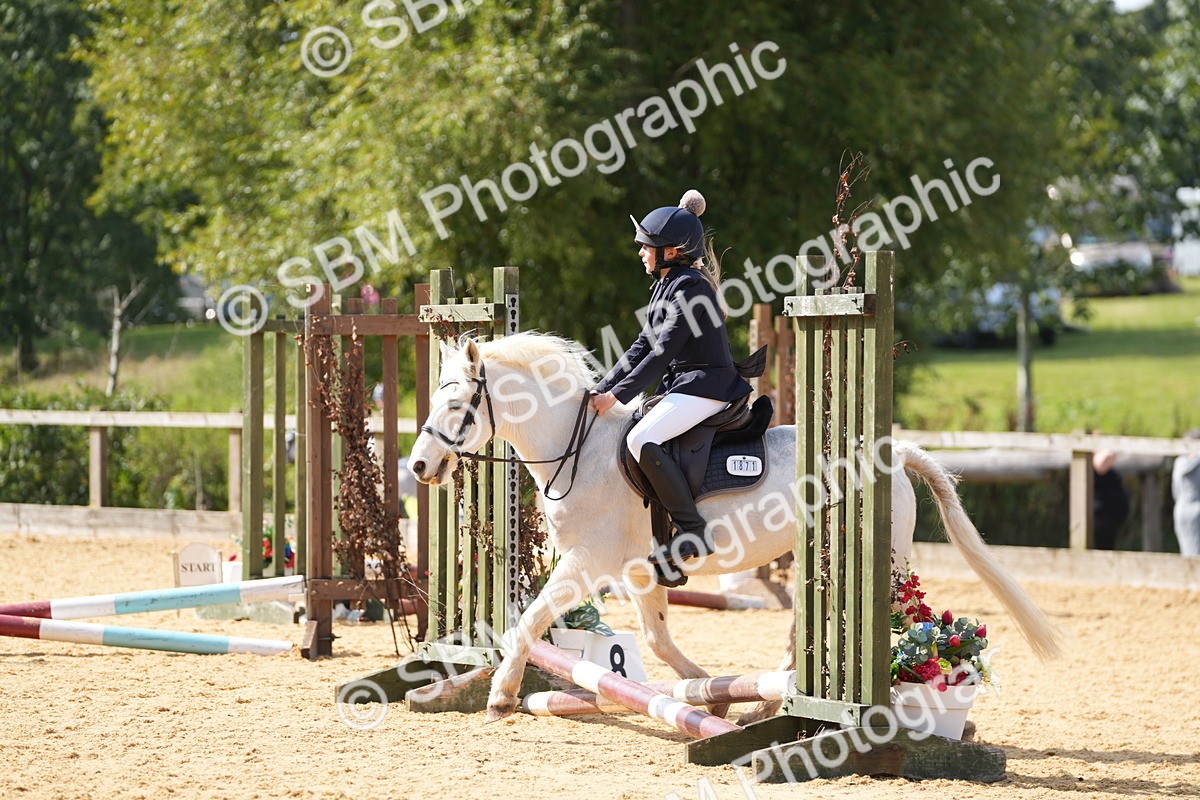 SBM_65729 - J2 - Mini Tour Junior Pony 30cm Championship