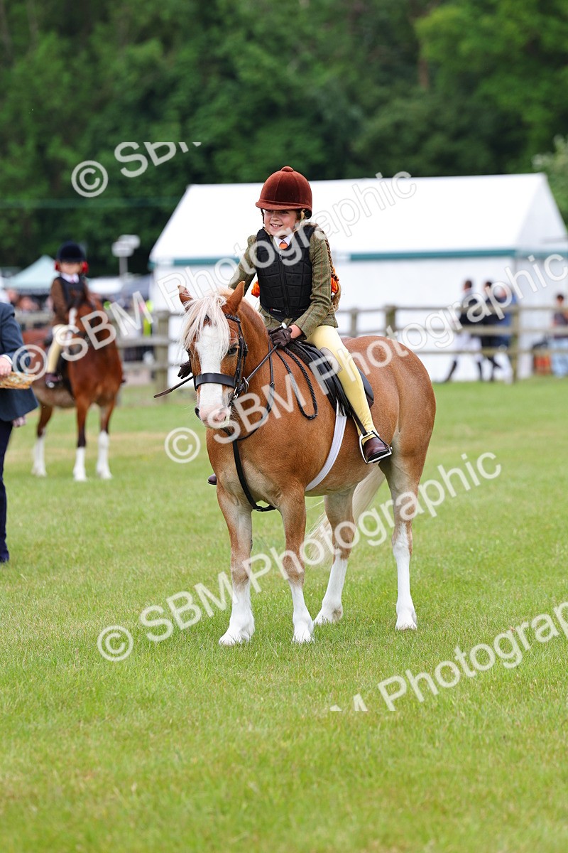 SBM_08749 - Class 42-43 - LIHS BSPS Heritage Working Sports Pony