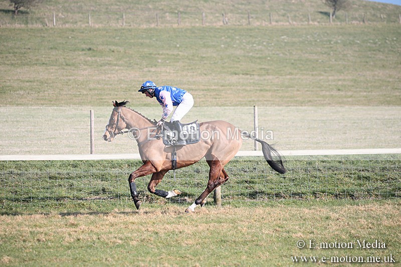PtP 230219 170 - Vine & Craven Point-To-Point - Barbury 23/02/19