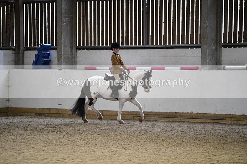 WJ5_7384 - Class 11 Ridden PC - RC Pony