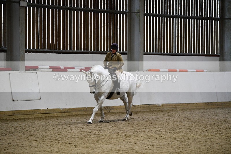 WJ5_9047 - Class 15 Ridden Show Horse