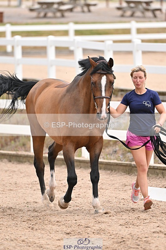 250716-151128-01738 - Trot Up 2.30 to 3.30