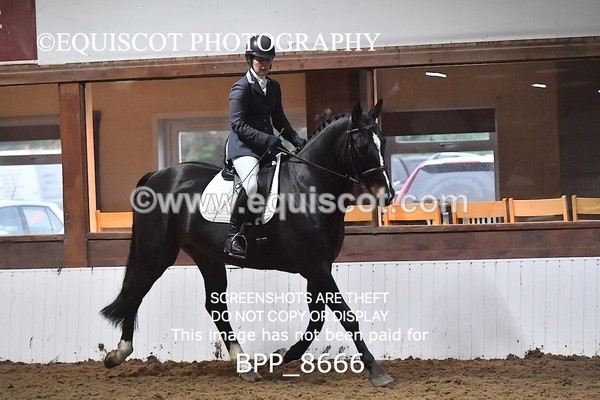 BPP_8666 - NOVICE 6 BD