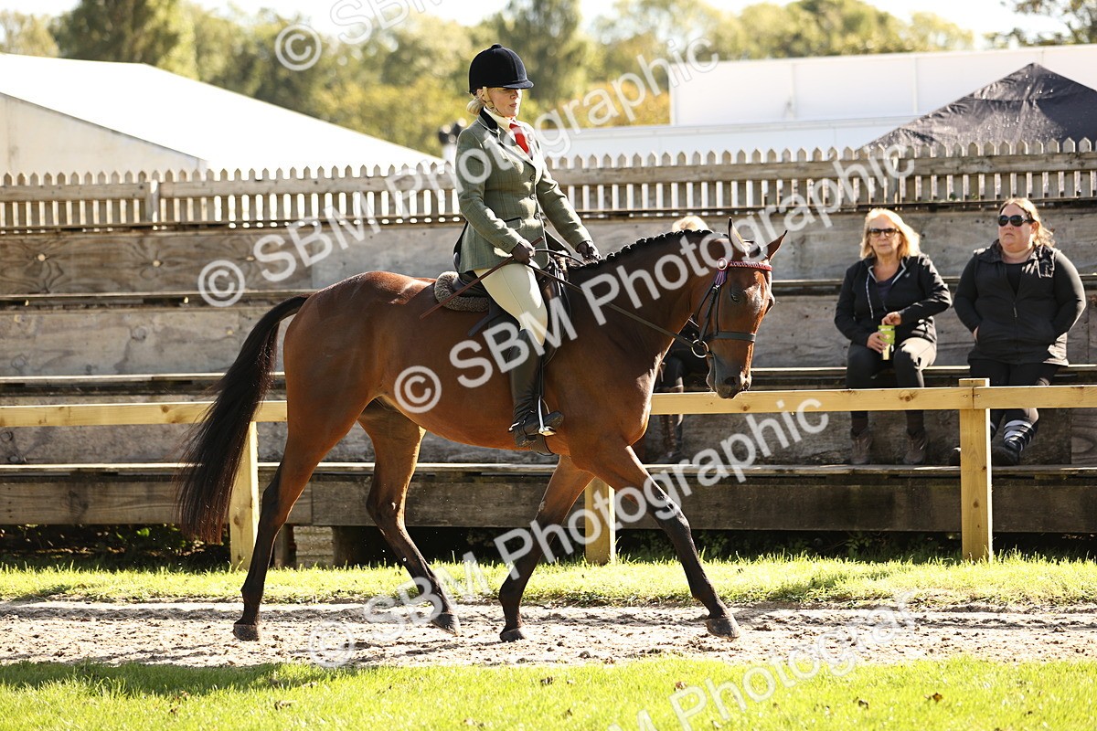 SBM_16967 - S2 - TSR Ridden Pony Showing