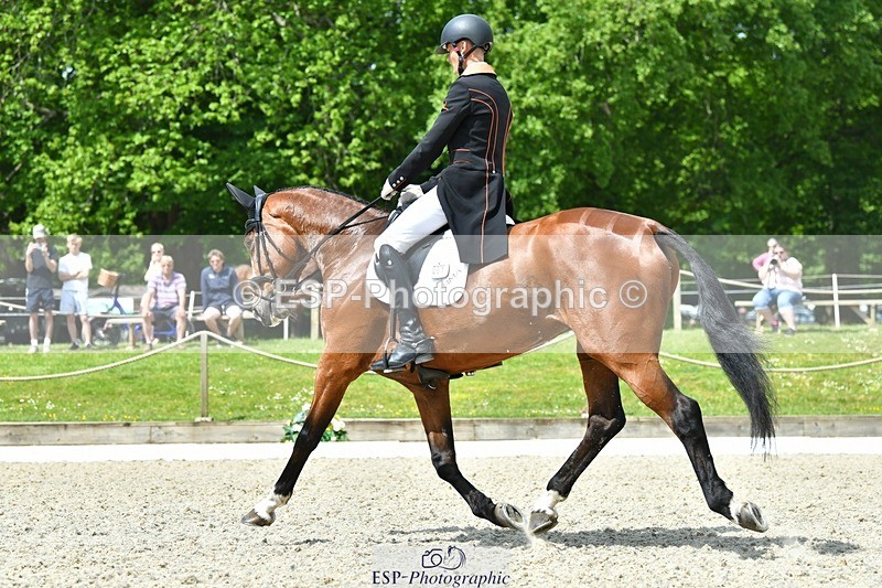 230525-113110-04043 - 201-JAEGER_MASTER-Tom_Woodward-WEDTrotUp+DR