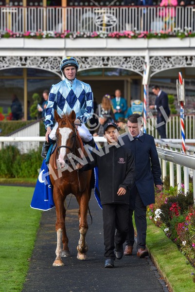 141023-Race 2-Whiskey Pete-0798 - Race 2 1.50pm Play Coral 'Racing-Super-Series' For Free Nursery Handicap