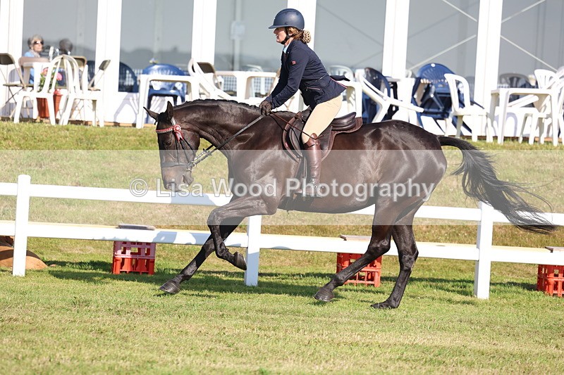 3E7A5627 - Class 2: Rising Star Large Hack/Riding Horse