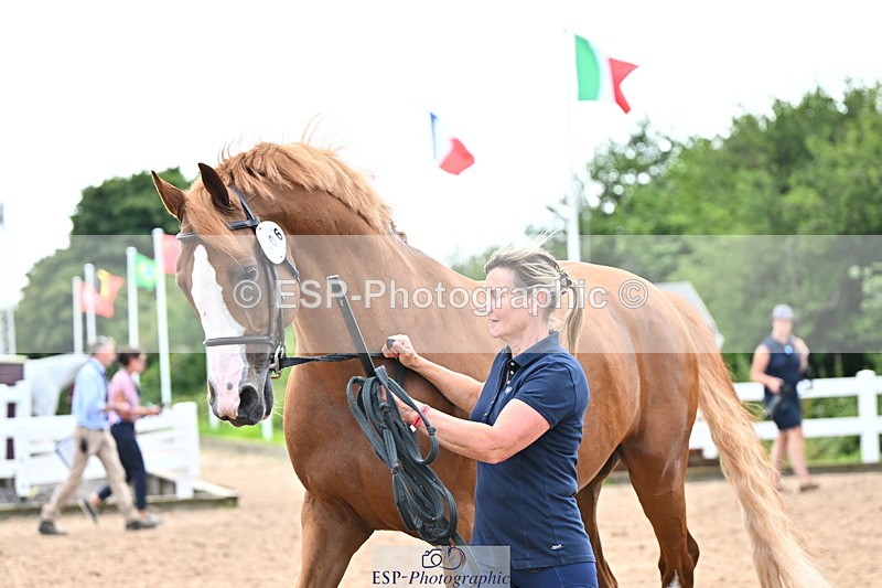240718A-105327-02030 - Trot Up 2pm to 3pm - This folder is not in time order