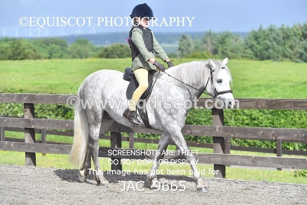 JAC_9665 - CLASS 1 Nursery Novice Working Hunter (0.50m)