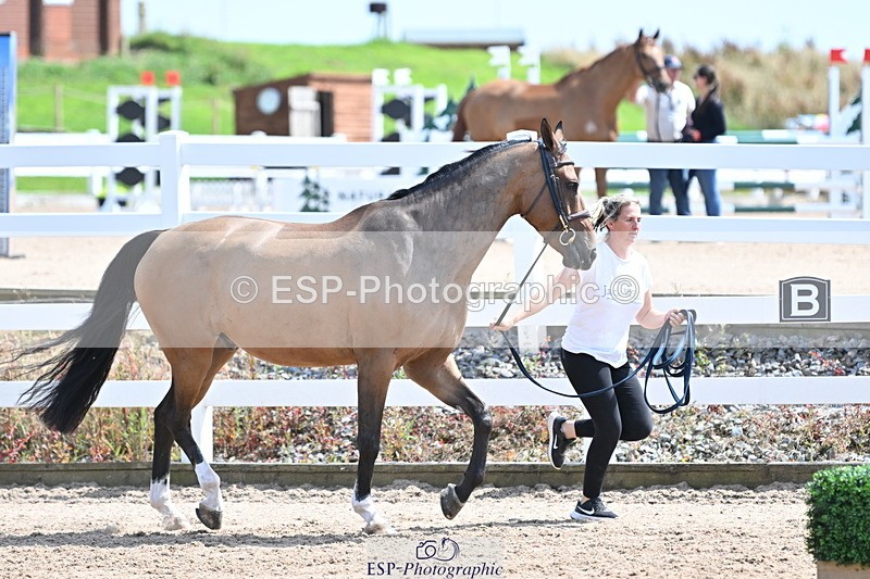 240717A-150437-02510 - Trot Up 3pm to 4pm