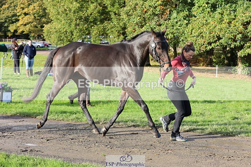 251026A-095509-22576 - D-306-Annabel.Mason