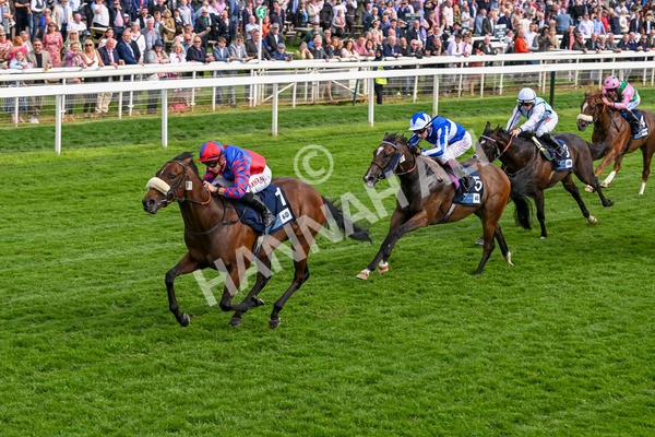 160524-Race 5-Big Evs-6335 - Race 5 4.15pm  British Stallion Studs EBF Westow Stakes