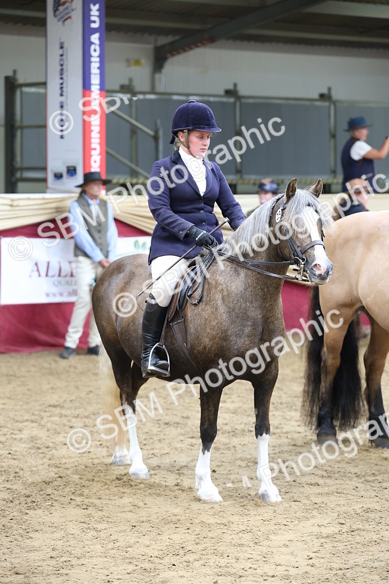 SBM_24068 - Class 905 - Supreme Final - Ridden Veteran