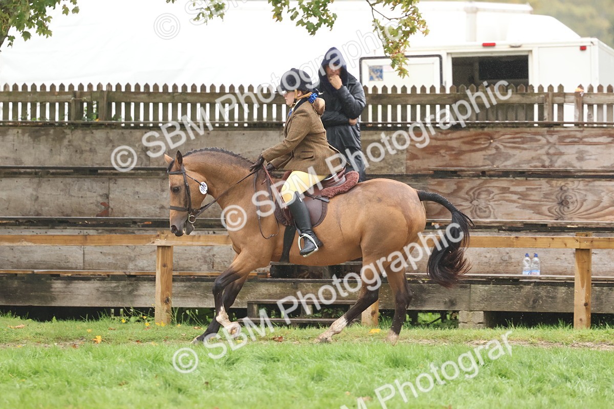 SBM_73040 - S63 Show Pony & Show Hunter Pony Ridden