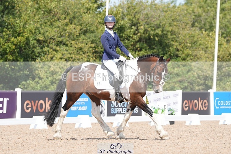 250817-122349-09309 - 050-Mollie.SheathTouch.Wood