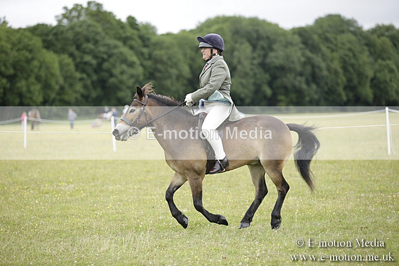 BVR160717-1309 - Ring 1 BVRC Show 16/07/17