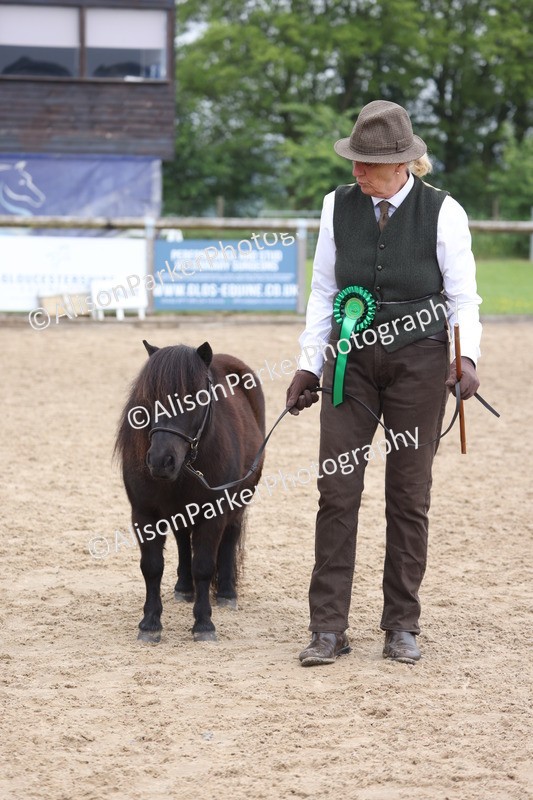 20260504-0546 - Class 4 - Minitures and Shetlands
