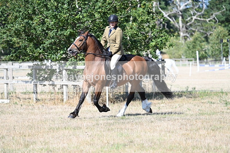 WJ7_3757 - Class 9 Mountain & Moorland Ridden