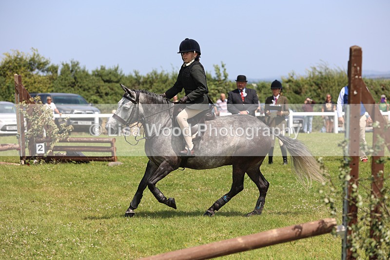 JPP_2602 - Class 21: Working Hunter 60cm