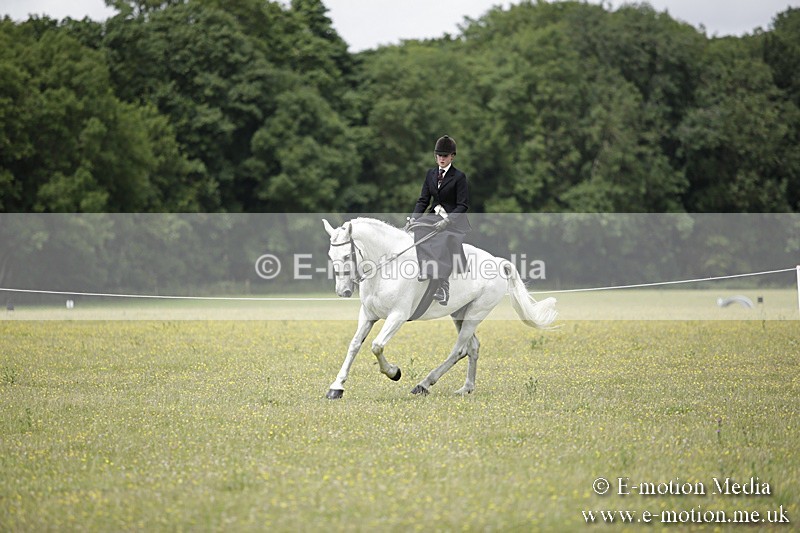 BVR160717-1959 - Side Saddle Classes 16/07/17