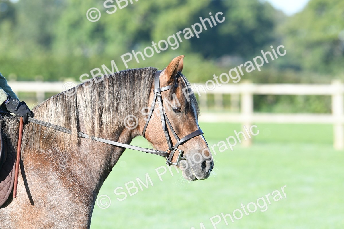SBM_33871 - S16 - Condition & Turnout - Ridden