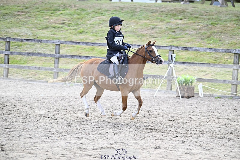 240822X-160701-12177 - 40cm A R2 15.00 to 16.16