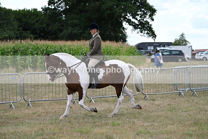 WJ7_5003 - Class 12 Ridden Cob