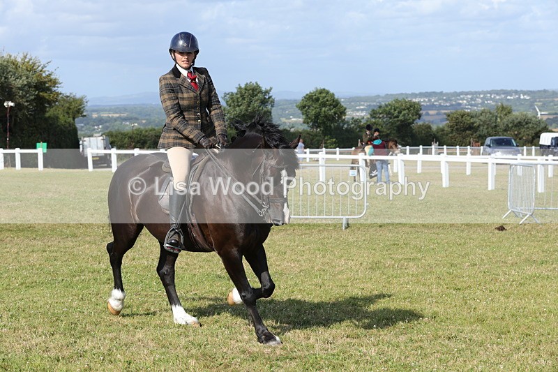 1X9A6046 - Class 43: NPS Welsh C & D