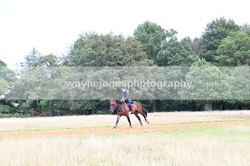 DSC_8903 - Time at Statue 14:33 to 15:10