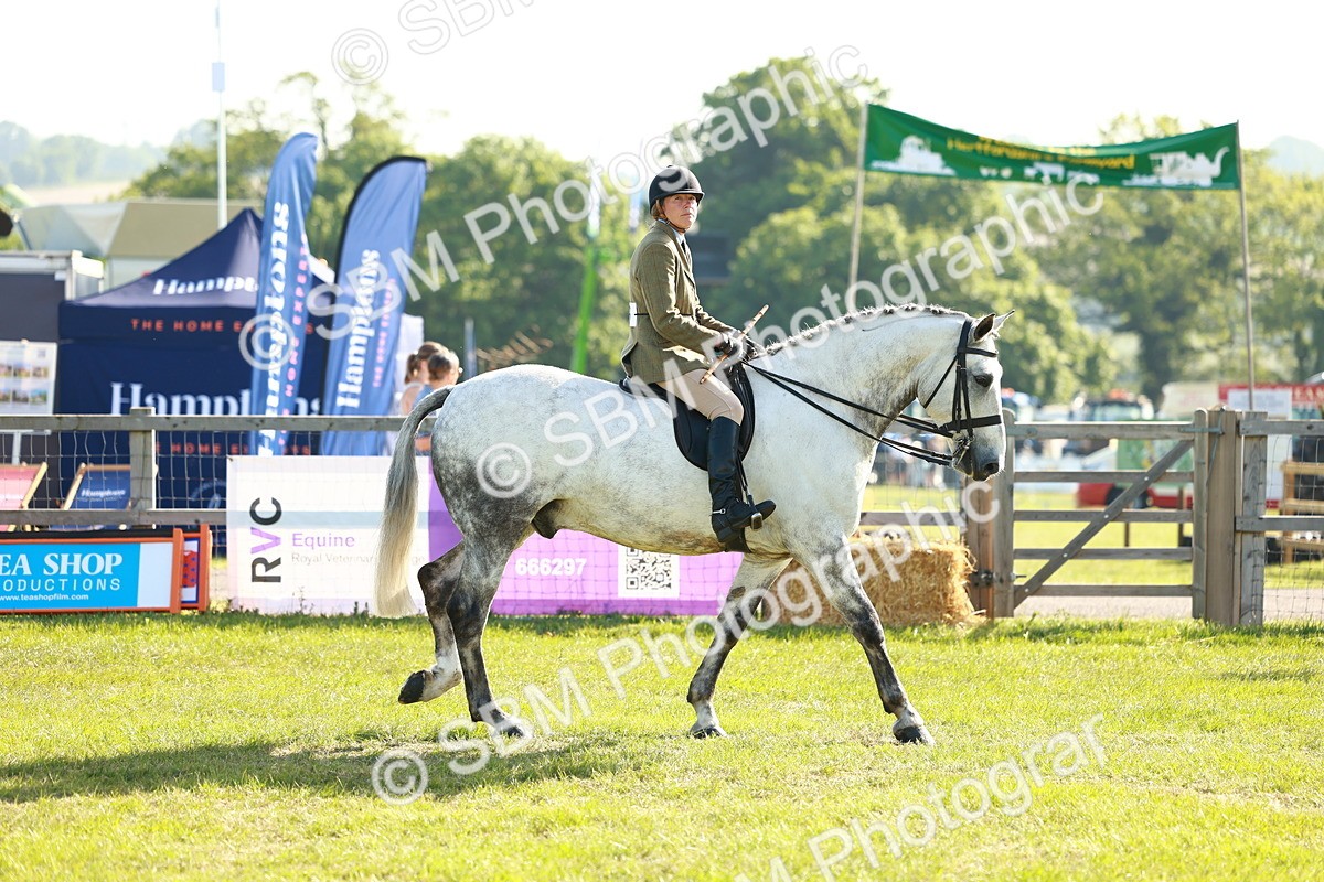 SBM_10823 - Class 66-69 - RIHS Ridden Hunters Inc Small Hunter