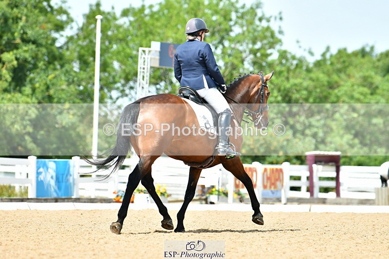 230702A-134551-10082 - Cls 31 Medium 69