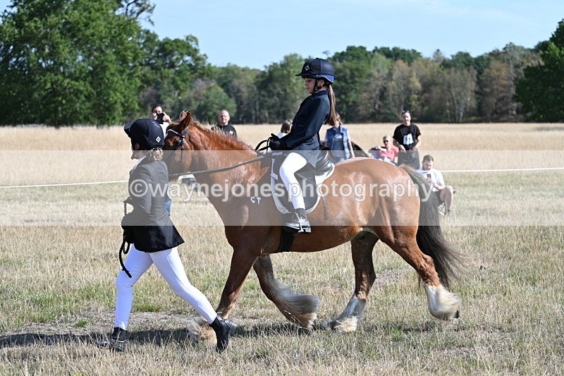 WJ7_3016 - Class 8 Ridden Tack & Turnout