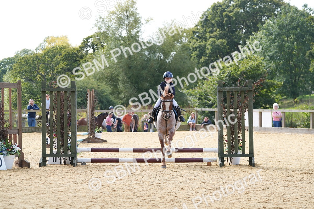 SBM_68320 - J3 - Mini Tour Junior Pony 40cm Championship