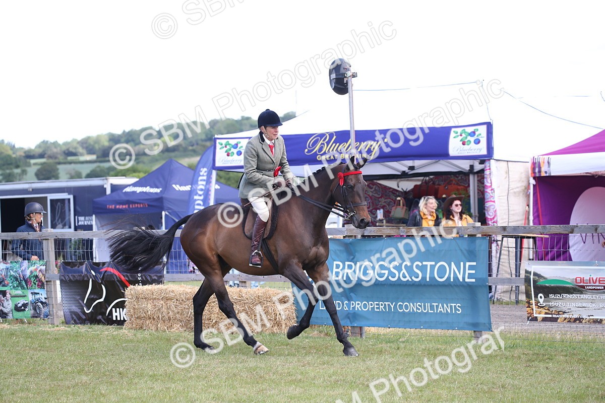 SBM_13282 - Class 95-96 - LIHS BSHA Rising Star Hack Riding Horse