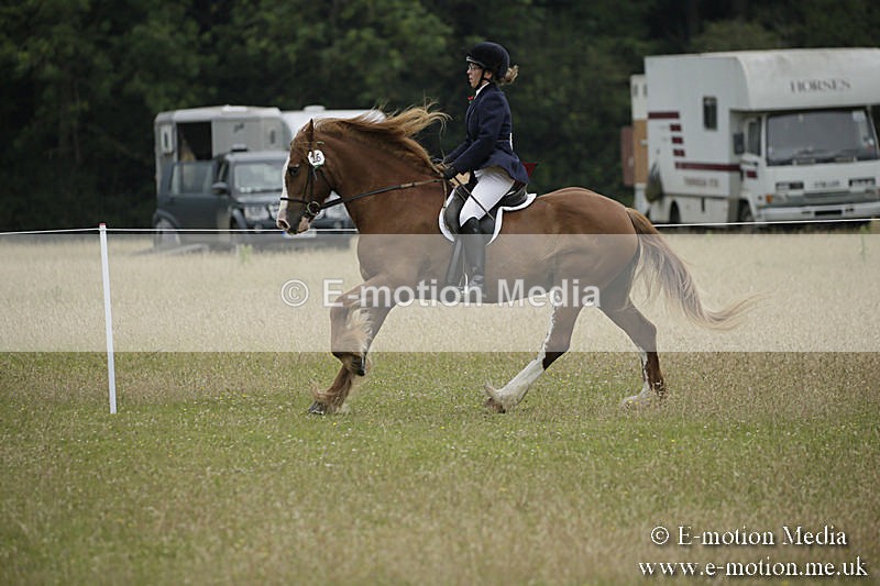 B230619-0320 - Bourne Valley Riding Club Summer Show 23/06/19