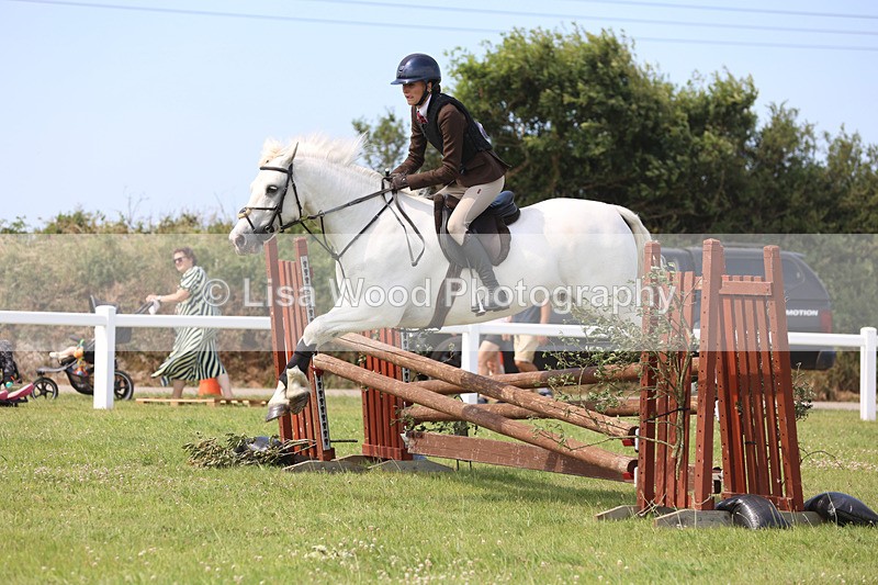 JPP_3717 - Class 23: Working Hunter 80cm