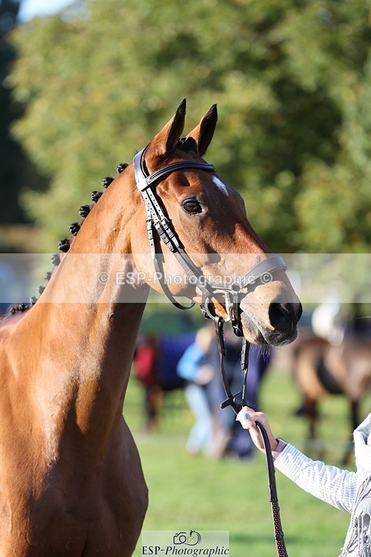 241027-091343-15136 - 462-Helen.Jackson-ADAMS.PARK