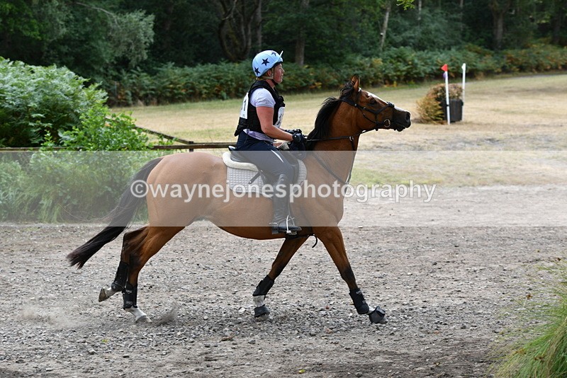 WJ5_1851 - XC Time 12:05 to 12:55