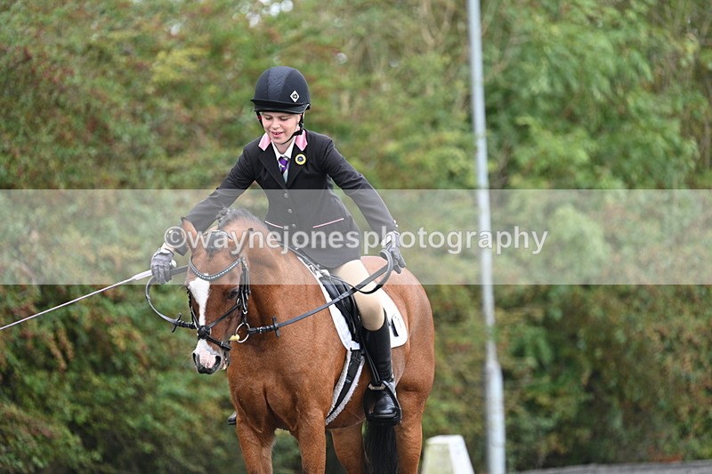 WJ7_4042 - Time 11:04 to 11:38