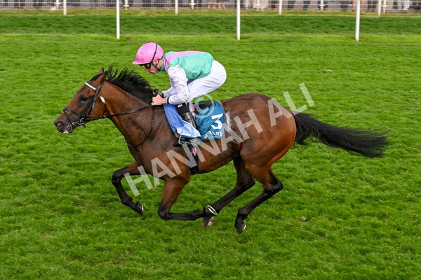 170524-Race 5-Lead Artist-8341 - Race 5 4.15pm  Darley EBF Novice Stakes