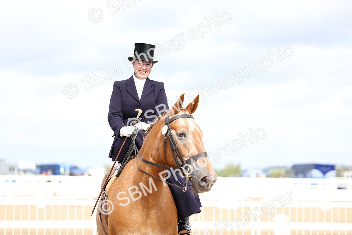 SBM_03360 - Class 23 - SSA Classical (any age)