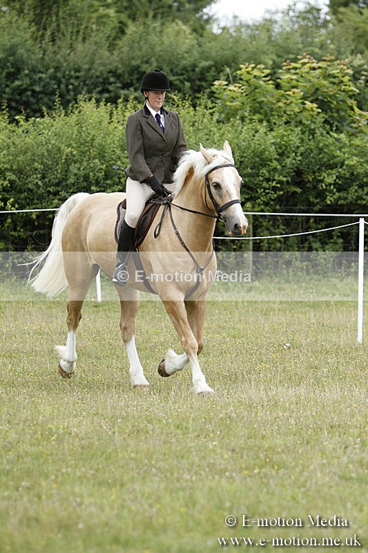 BVR160717-150 - Ring 3 BVRC Show 16/07/17