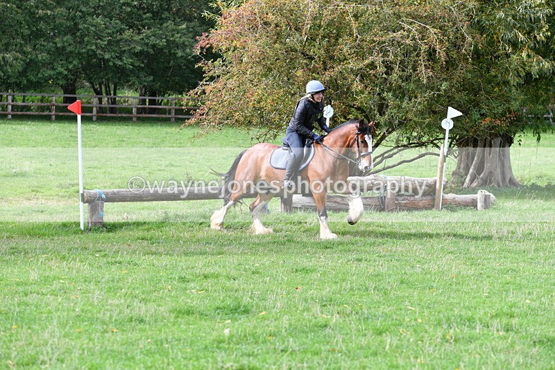 WJ5_9426 - Time 13:03 to 13:25