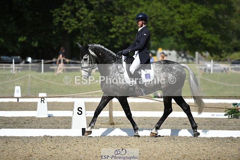 230525-101753-01679 - 311-BALLYCOSKERRY_REGAL_DIAMOND-Hollie_Swain-WEDTrotUp+DR