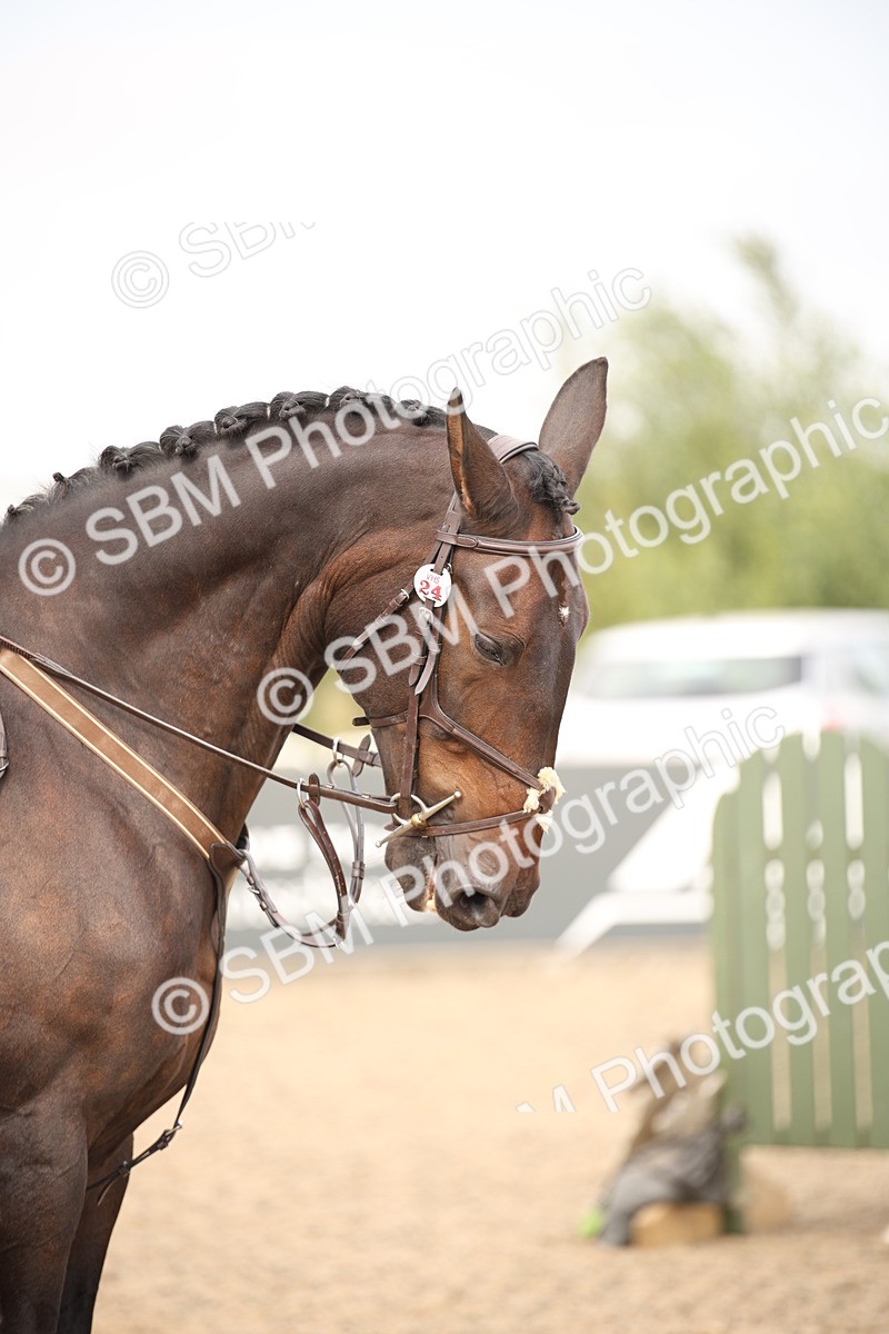 SBM_17089 - Class 409b - Working Veteran 80cm (20+)